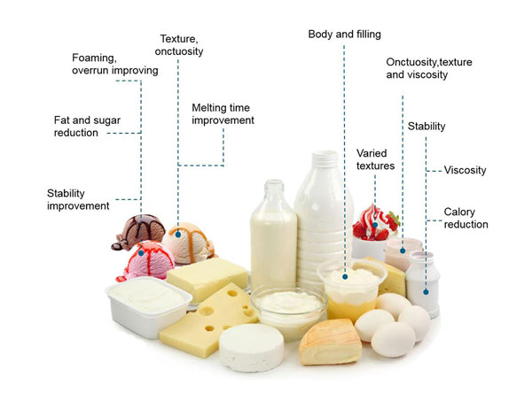 Dairy SH inpage
