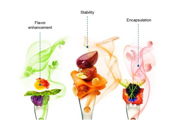 Emulsifiers SH inpage